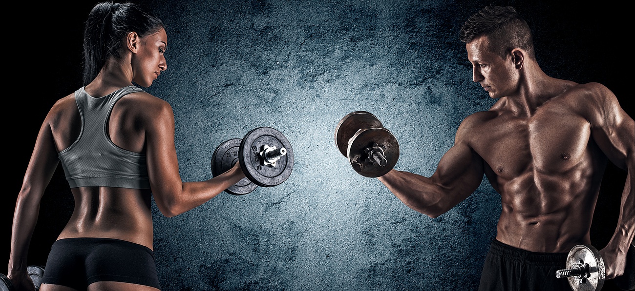 Entrainement de musculation